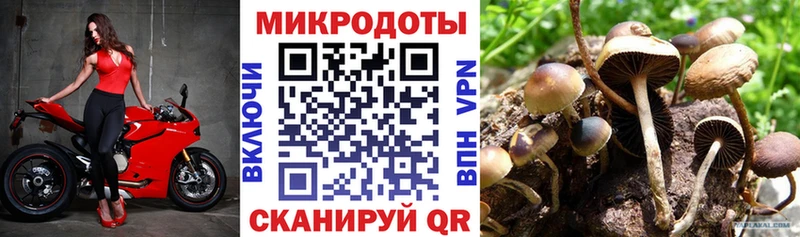Галлюциногенные грибы Psilocybine cubensis  хочу наркоту  Янаул 