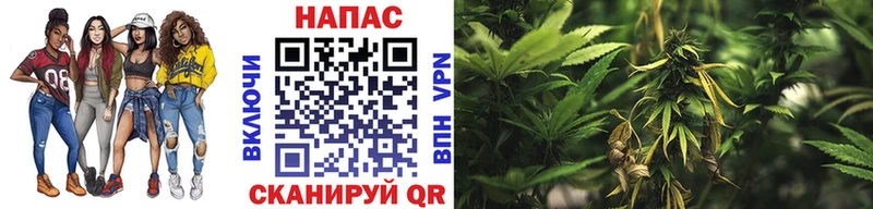 Каннабис Amnesia  купить   Янаул 